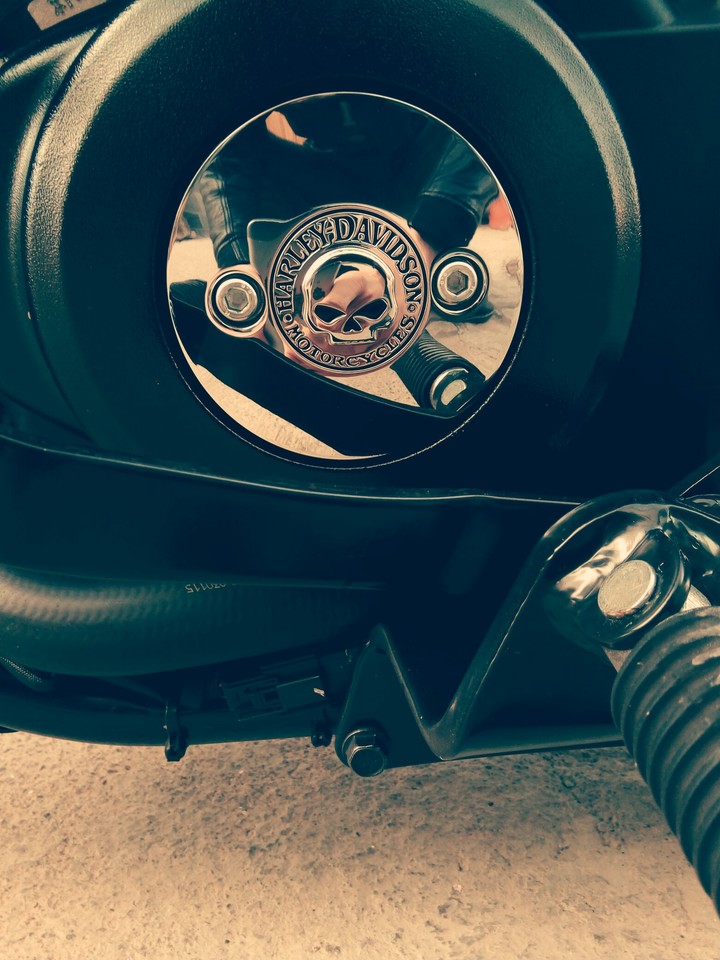 Harley-Davidson Skull