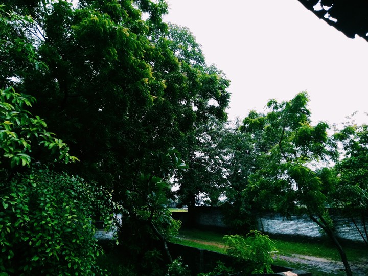 Monsoon