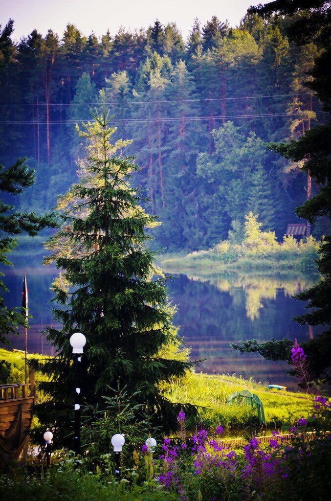 nature