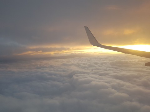 Wings of Heaven