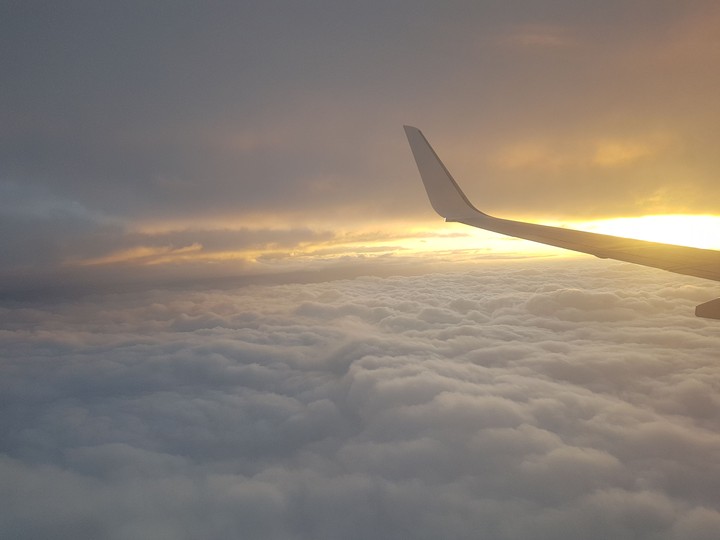 Wings of Heaven