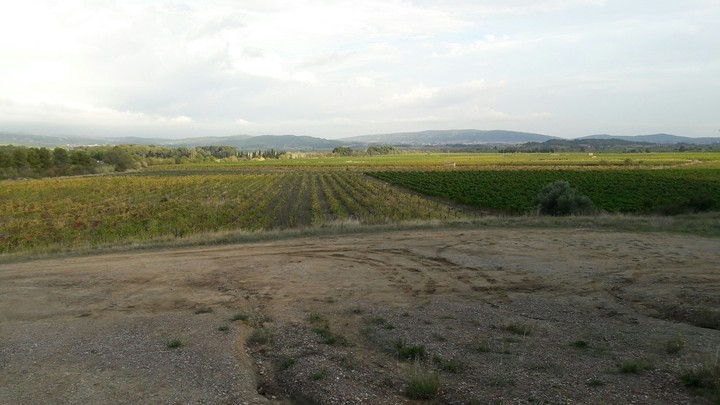 Landschaft
