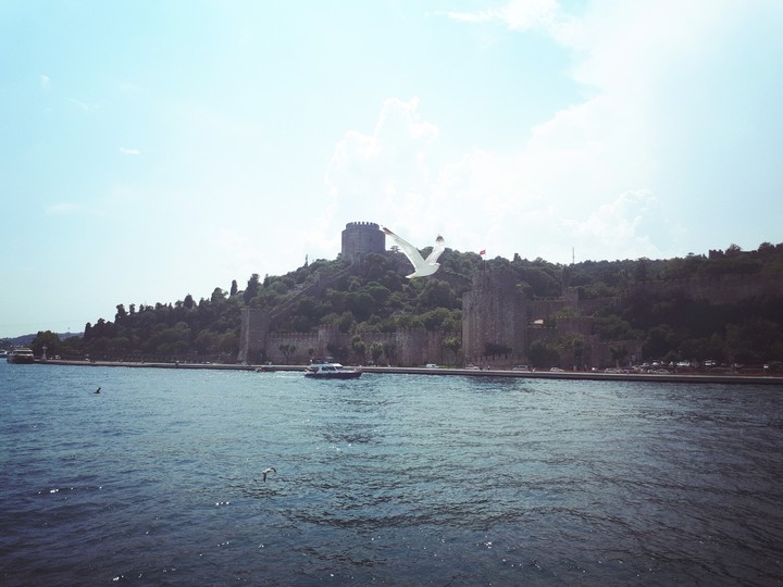 Özgürlük