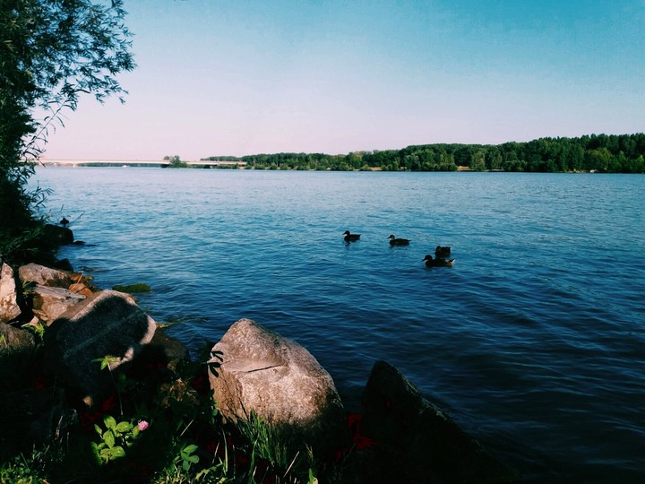 Danube