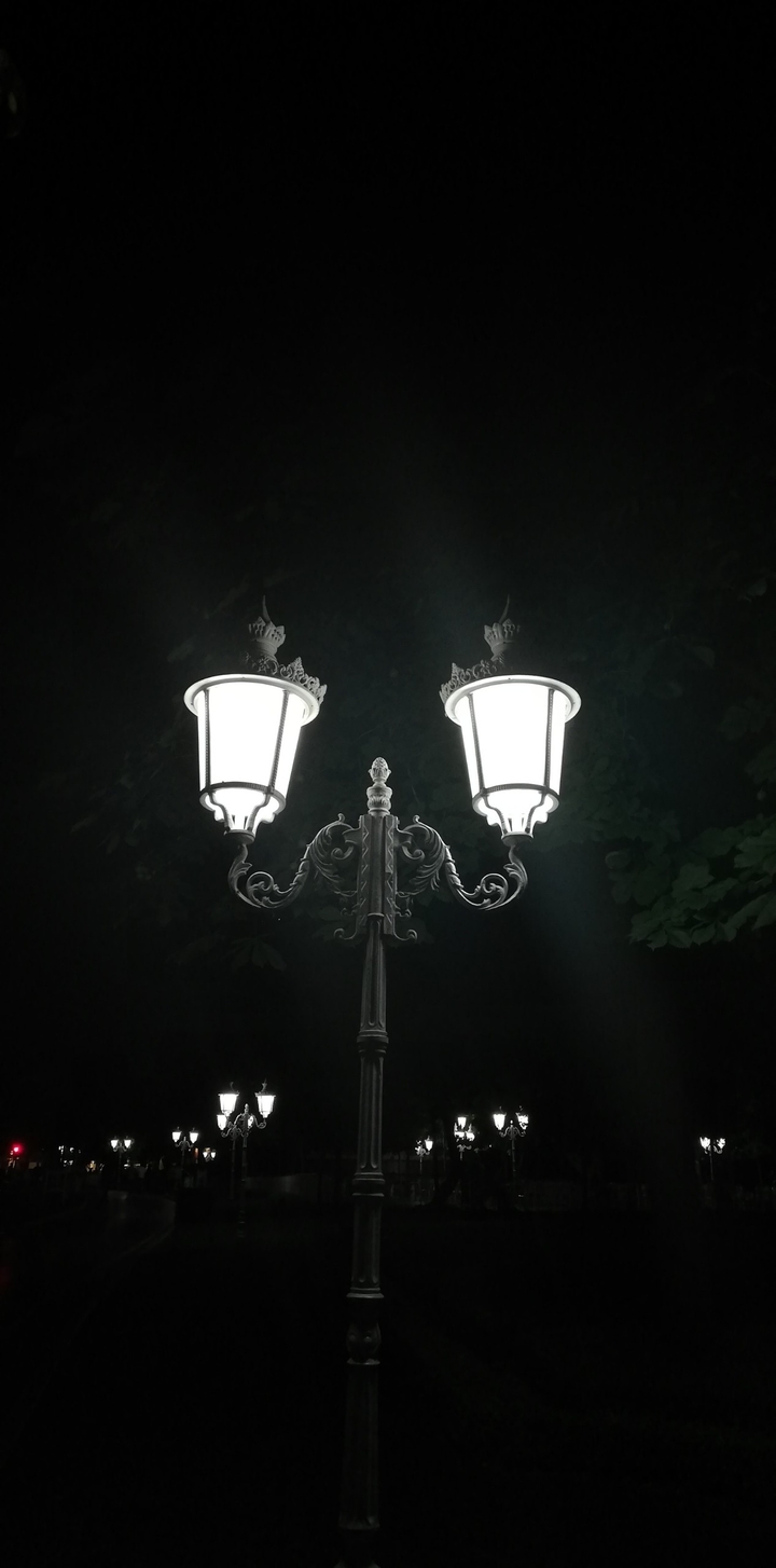in the night