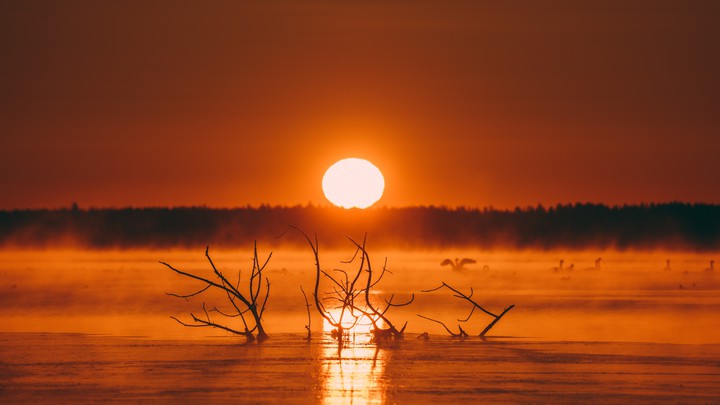 4k wallpaper
