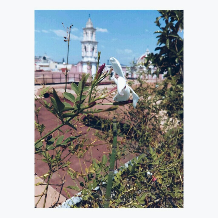 Afternoon
