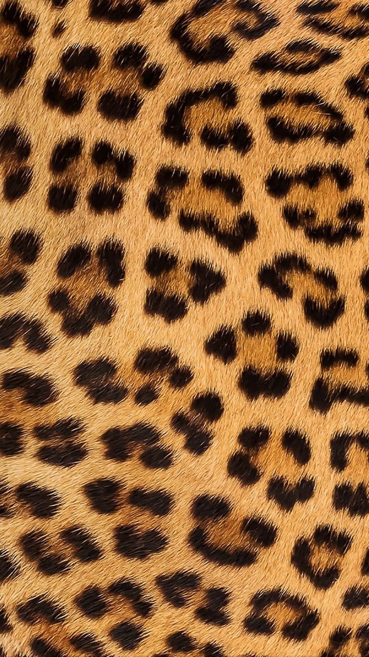 J͠a͠g͠u͠a͠r͠..... P͠a͠t͠t͠e͠r͠n͠
