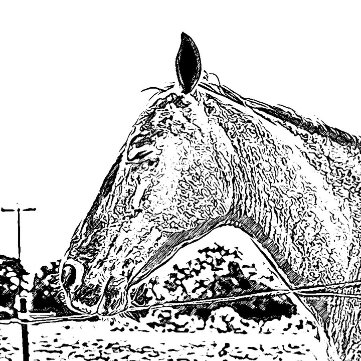 Colouring Page #1