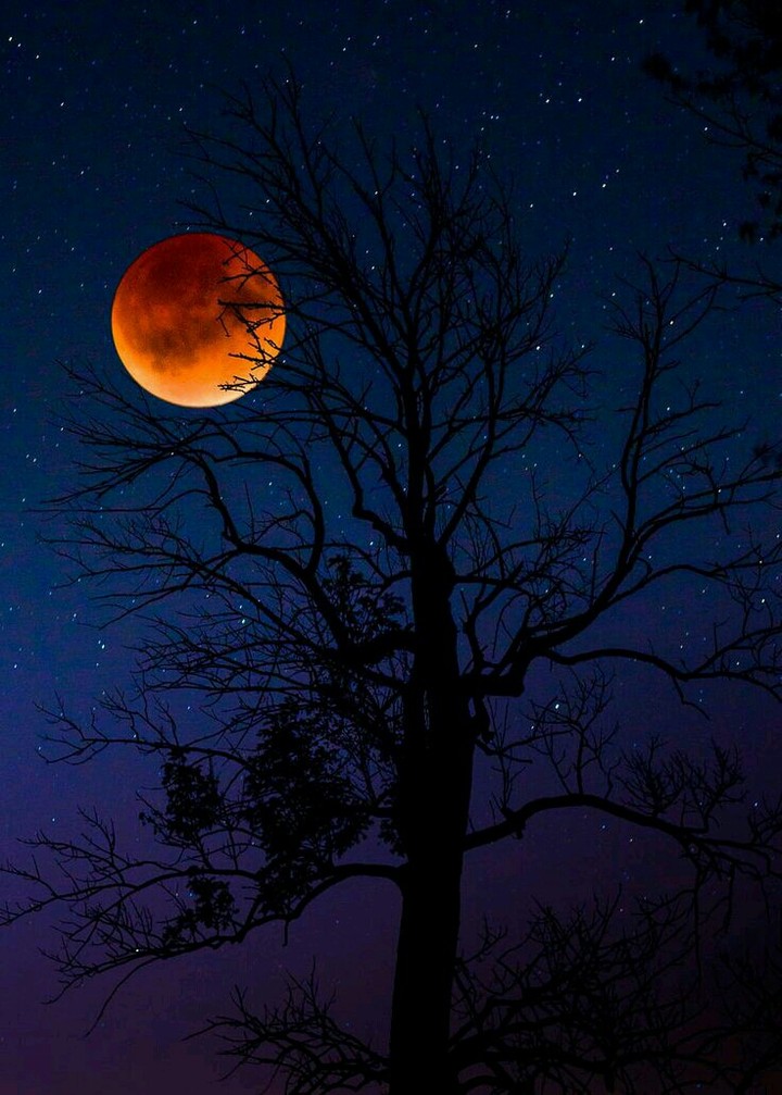 lua