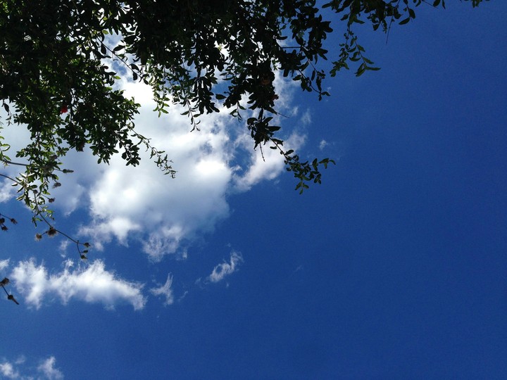 sunny day