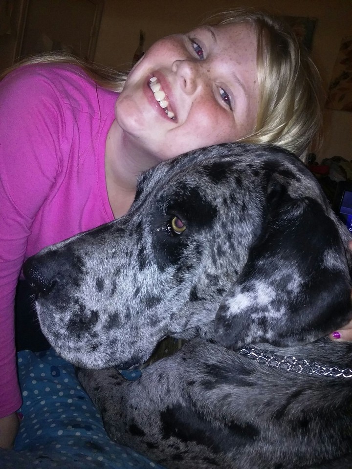 Babygirl & Big Boy The Great Dane