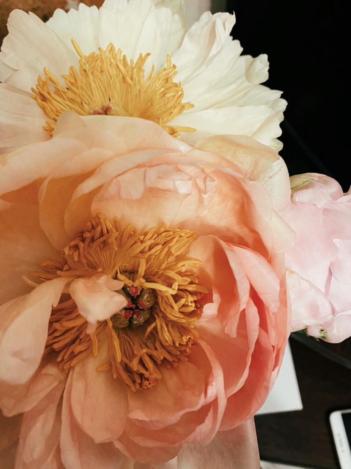 Peonies