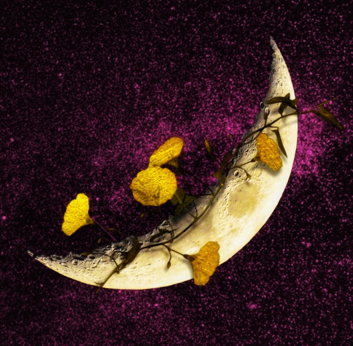 moon