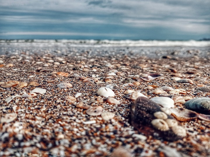 sea