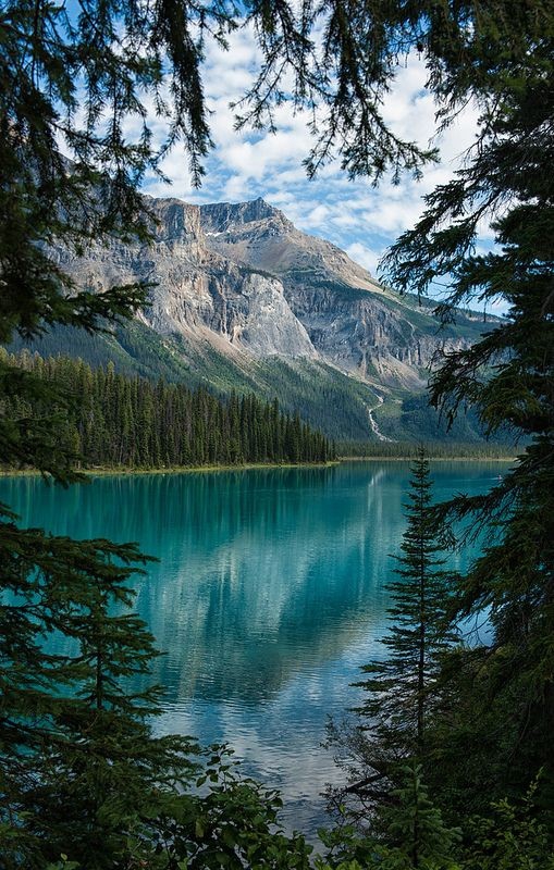 nature