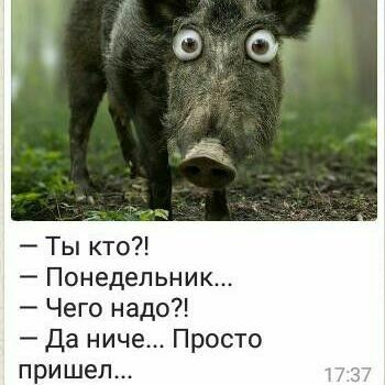ПОНЕДЕЛЬНИК...