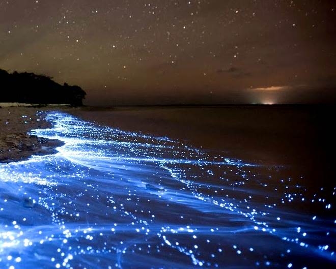 Maldives Pearls