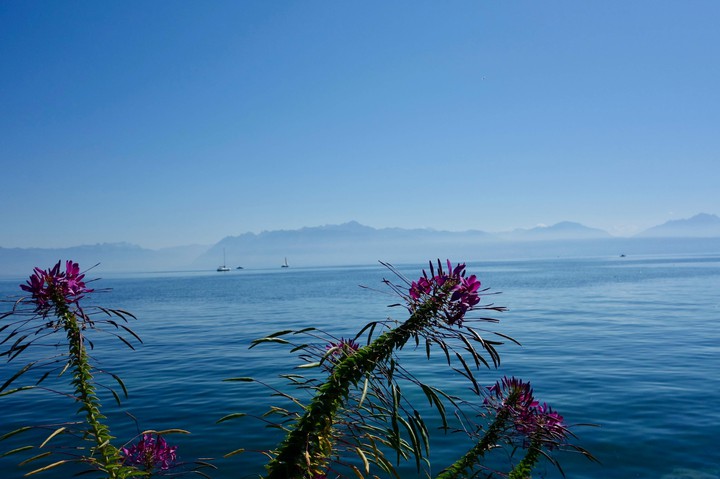 Lac Leman