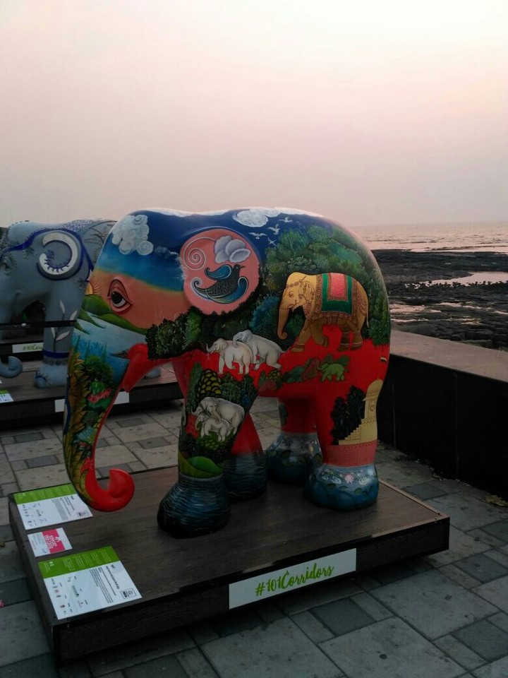 elephant in elephant