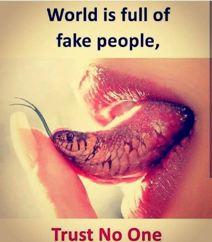 Fake