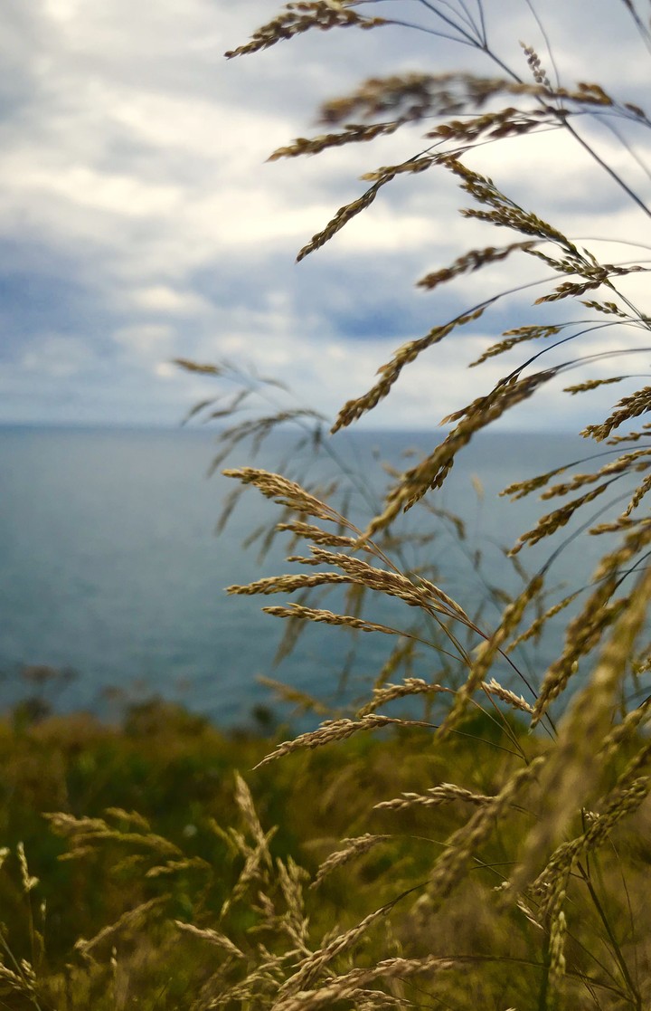 sea