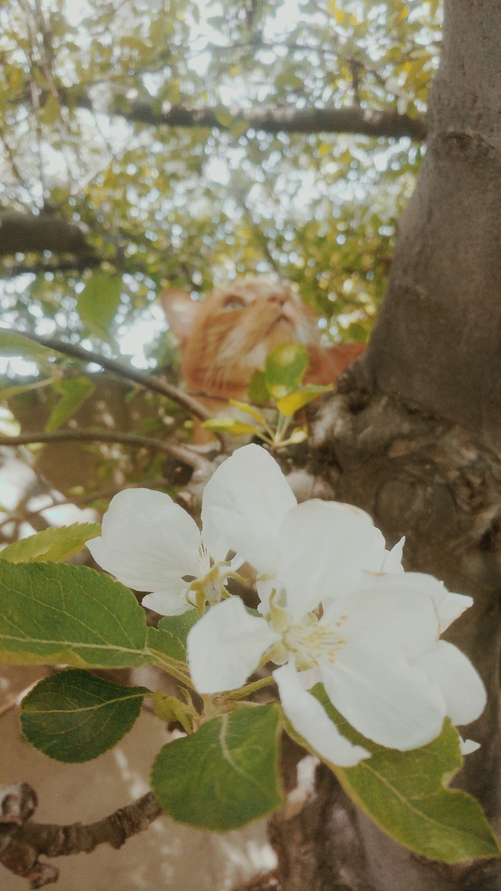 Spring Time