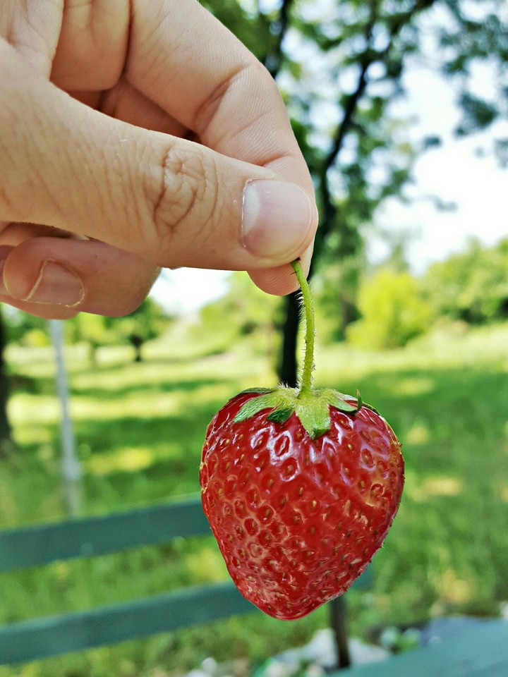 strawberry