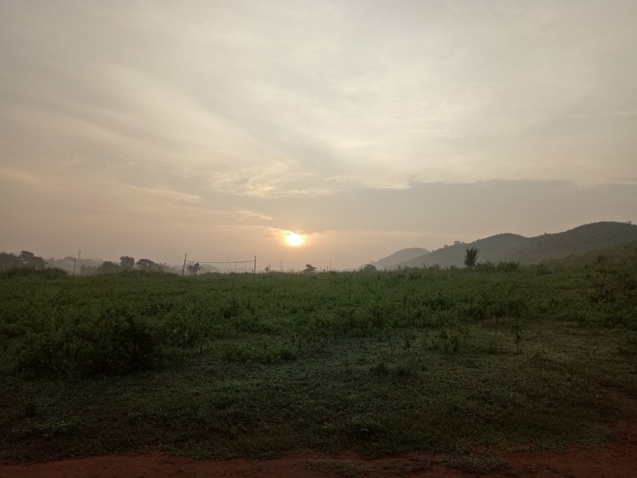 early morning