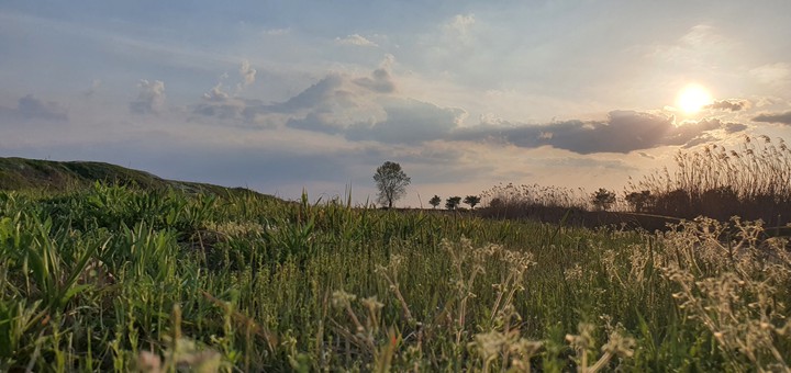 Sunset of under angle