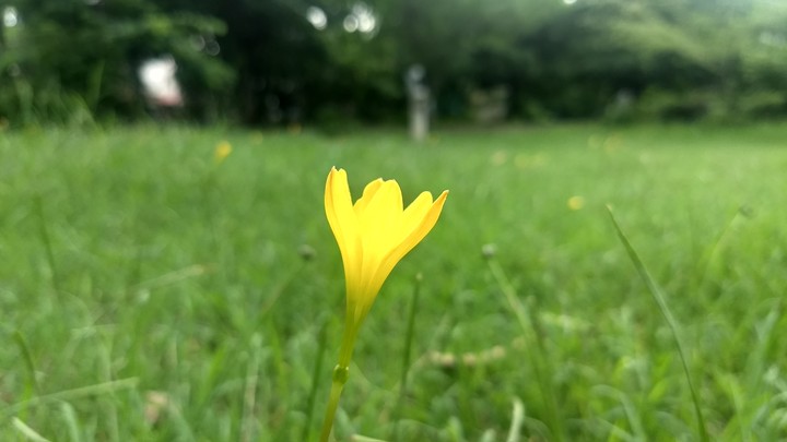 No DSLR it's just a MOTO Z2 play ...