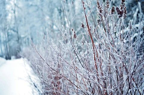 зима ❄