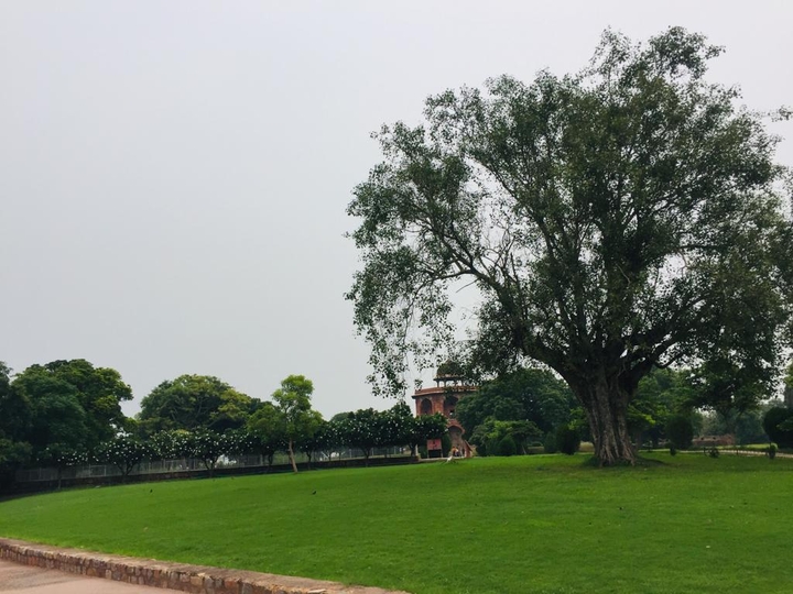 Purana kila