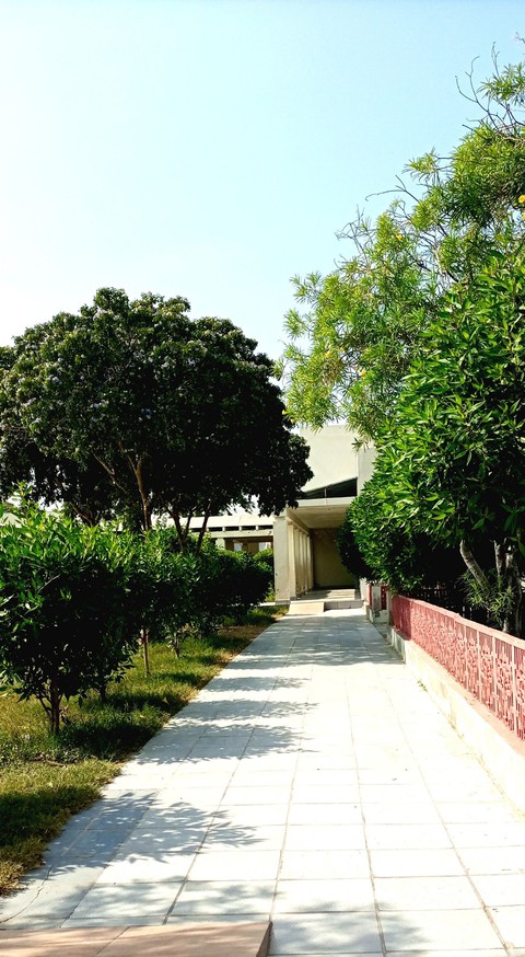 walk in green