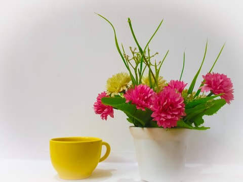 petal, morning Hintergrundbilder