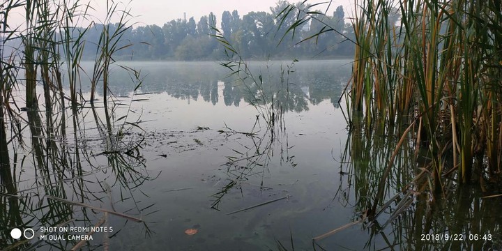 рассвет на реке днепр
