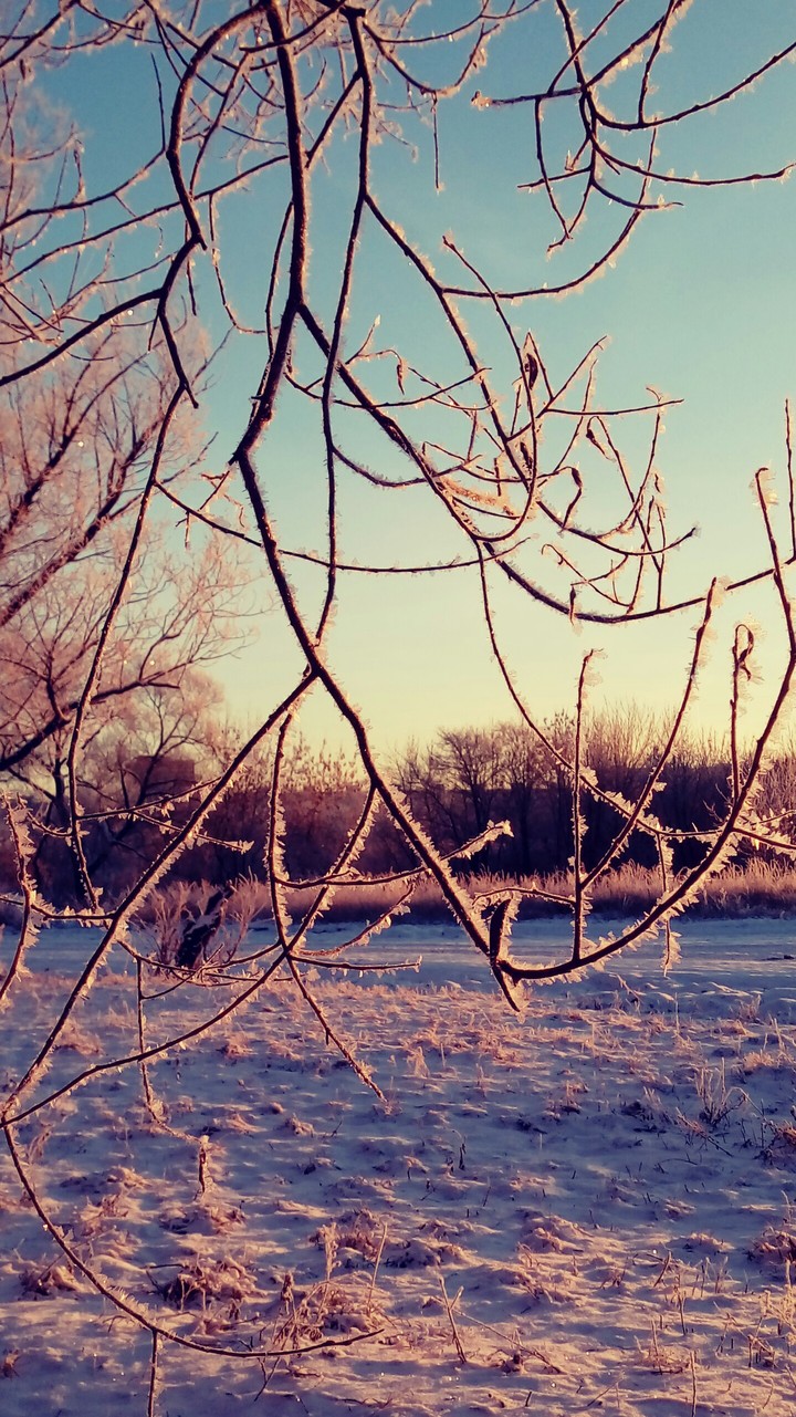 winter