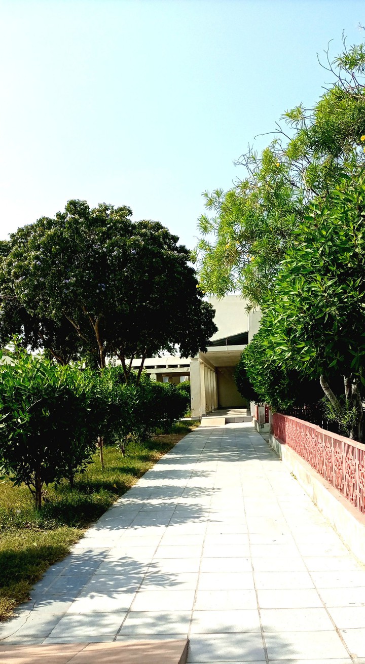 walk in green