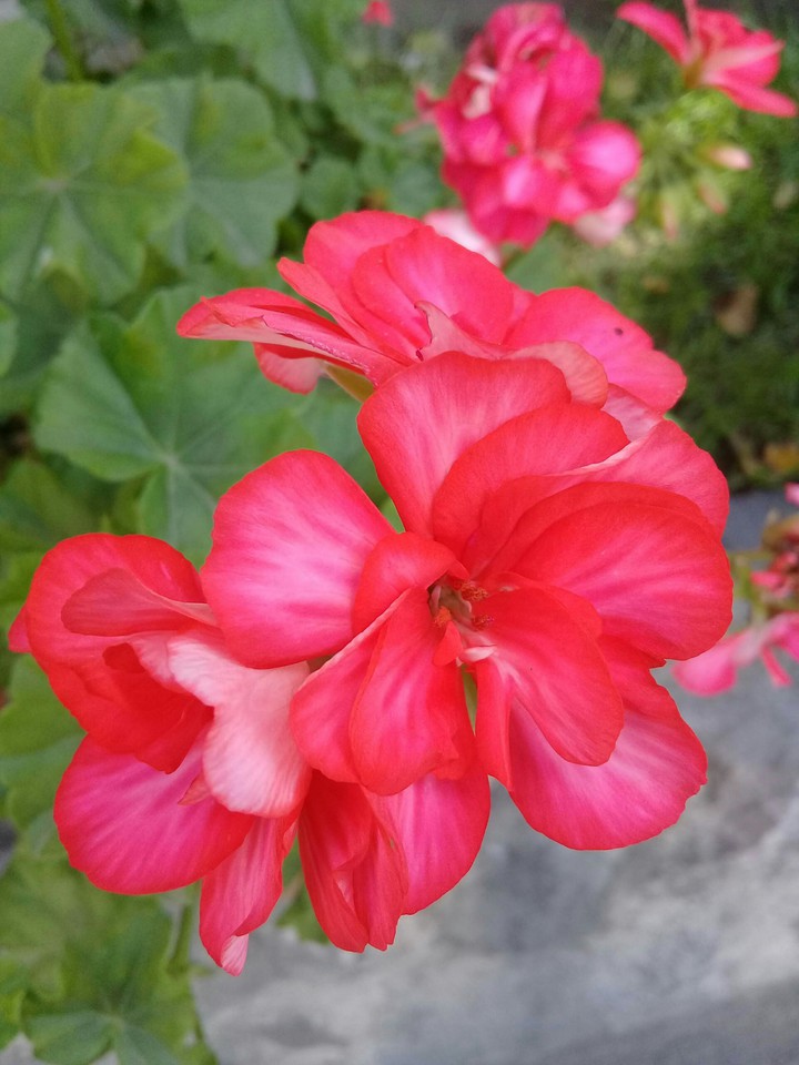 Beautiful