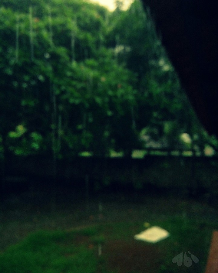 Rain
