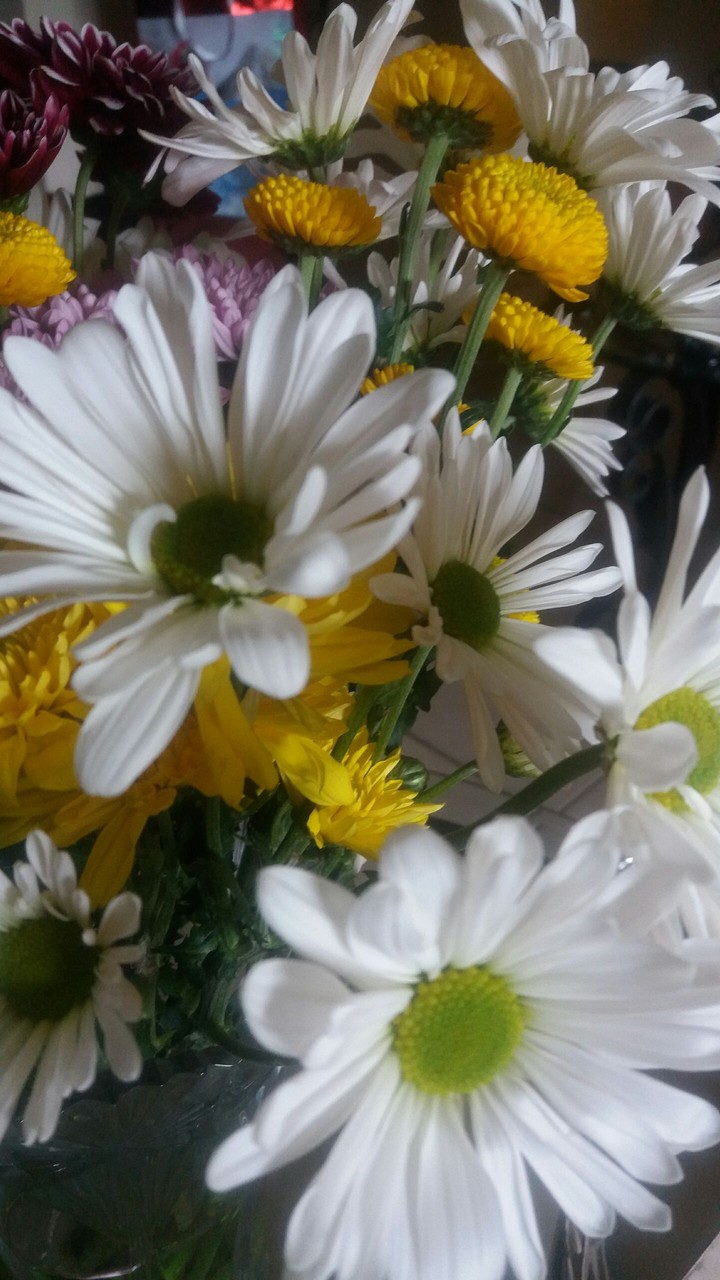fresh flowers 3