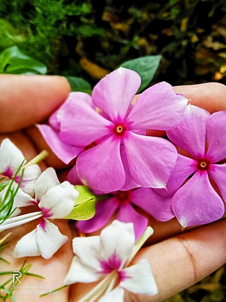 ?my click