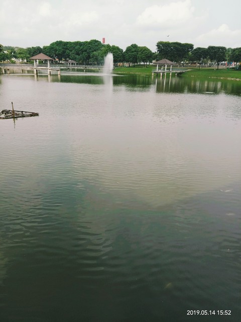 CITY PARK