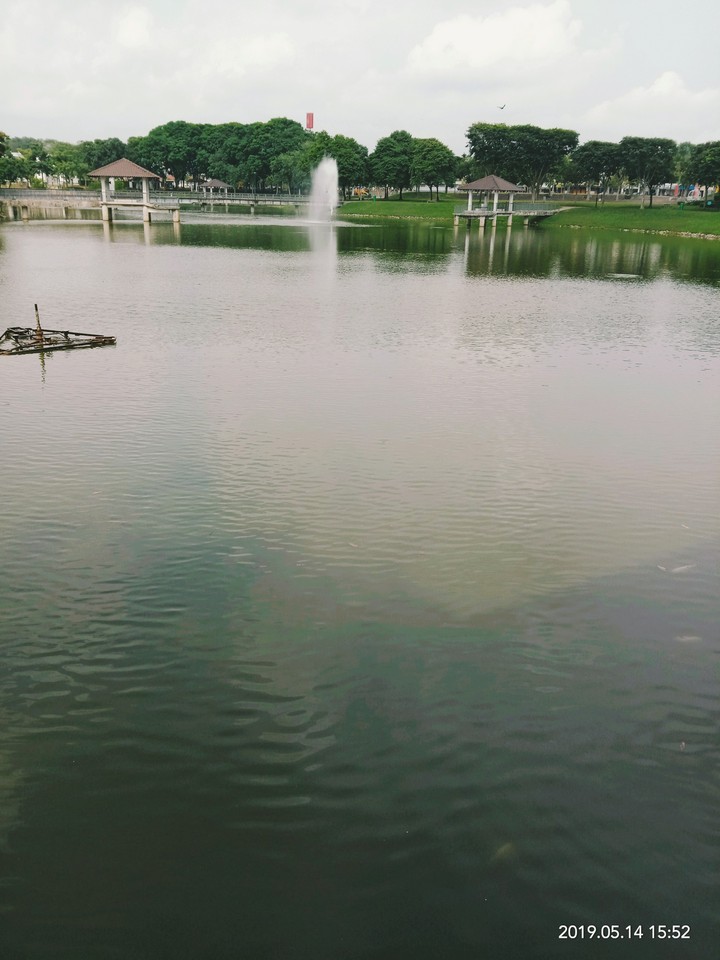 CITY PARK