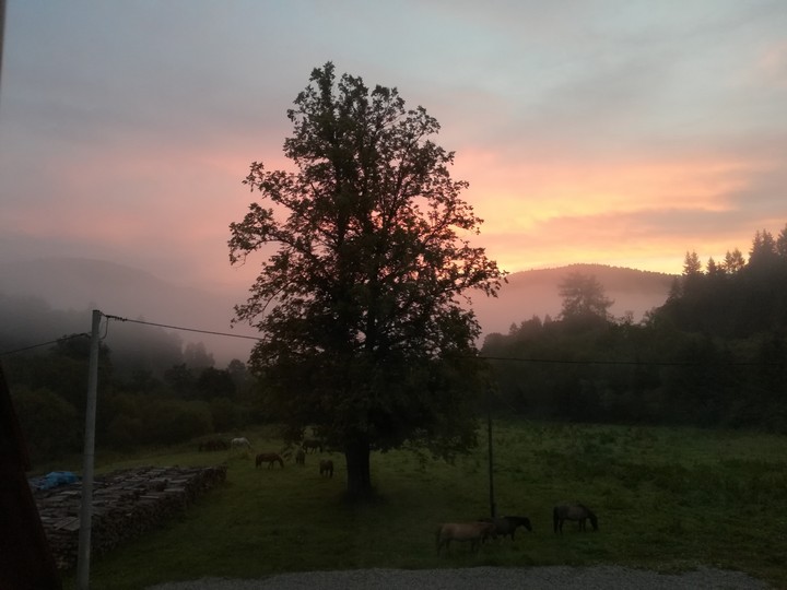 Sunrise