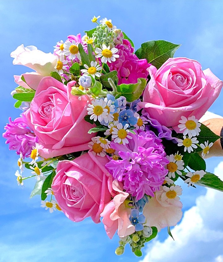 Roses