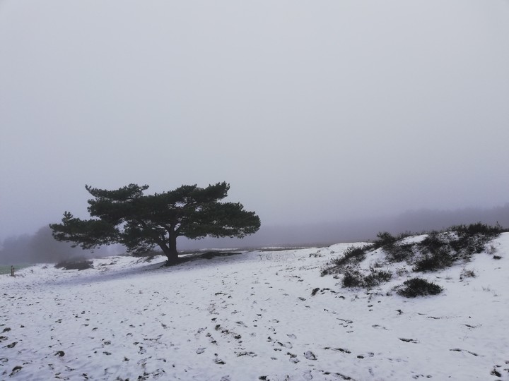 winter morning