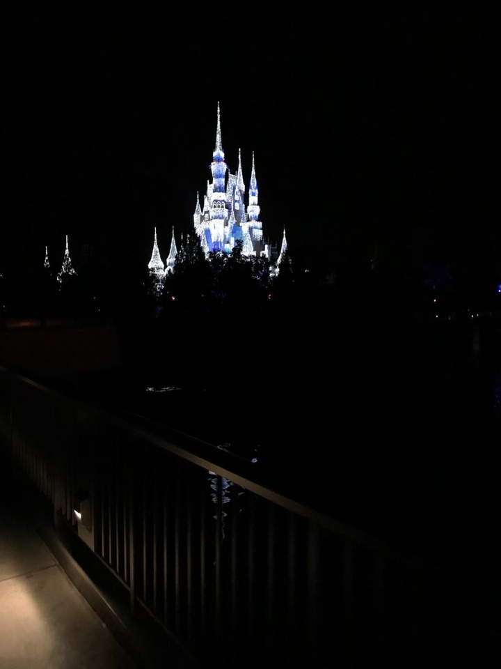Disney world castle night