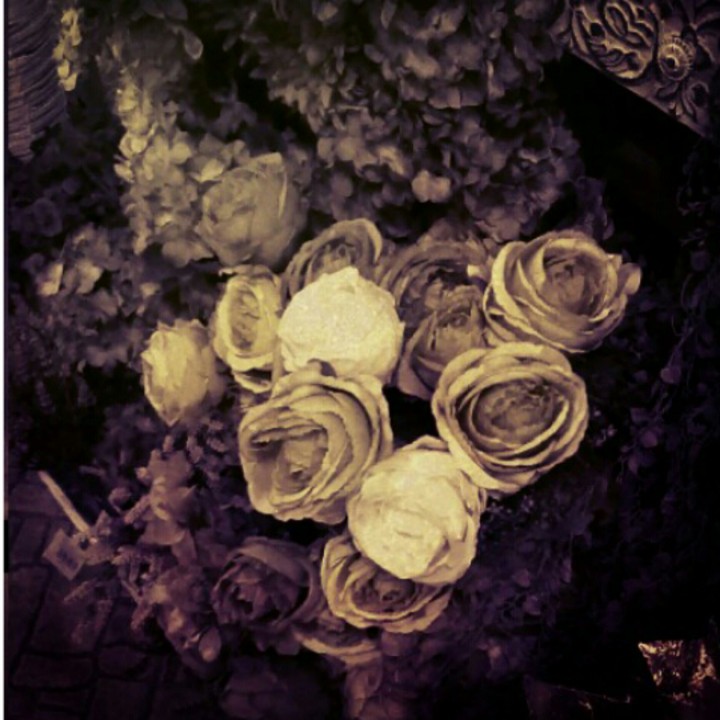 Roses XX w.