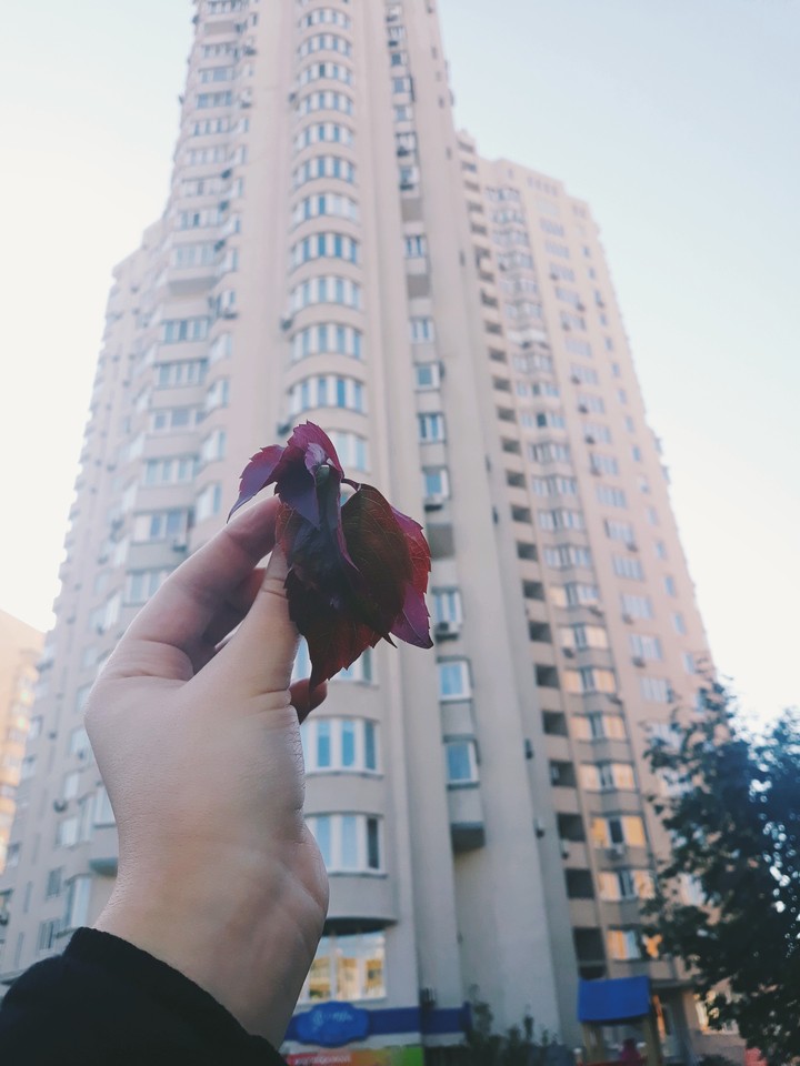 autumn